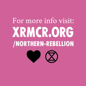 What kind of stuff will be happening at the Northern Rebellion? - Image 3
